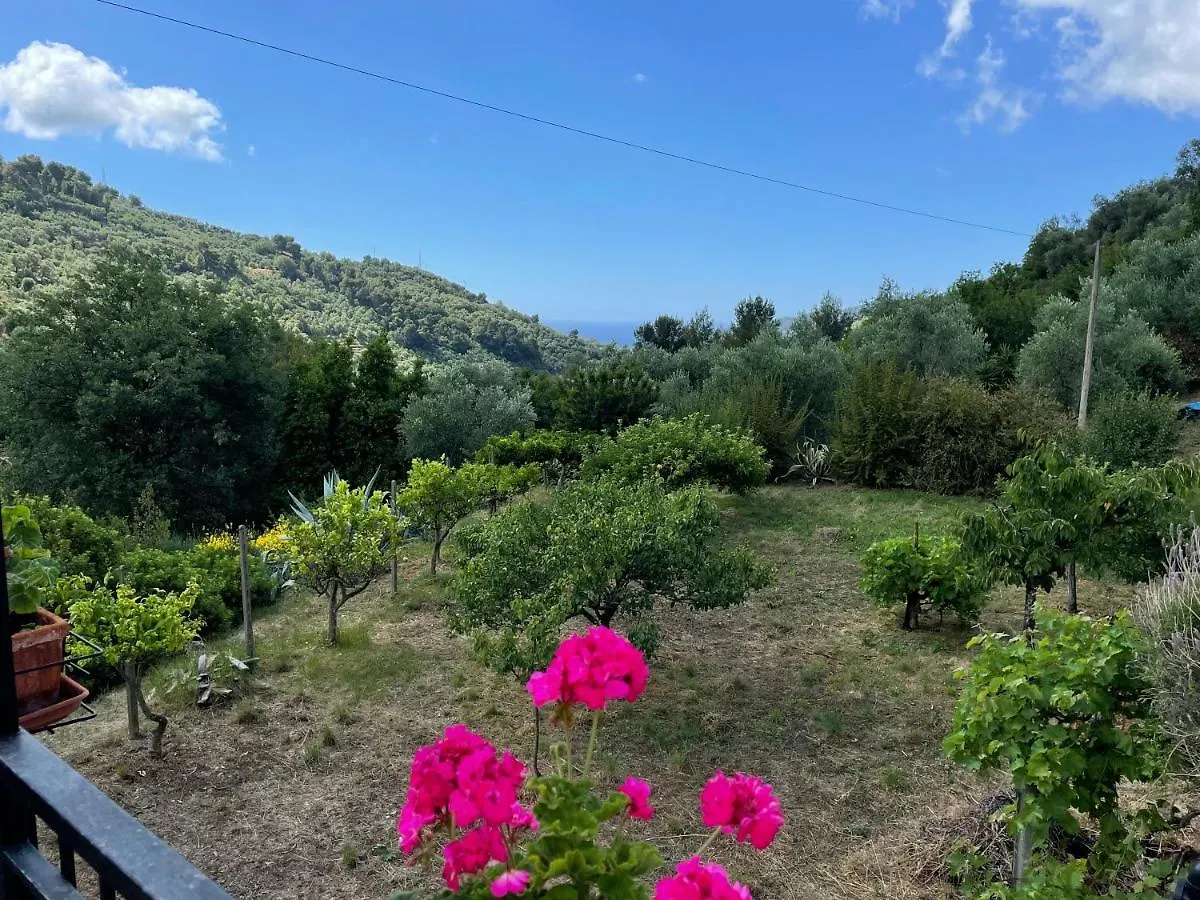 Casa Uliveto Villa Diano San Pietro
