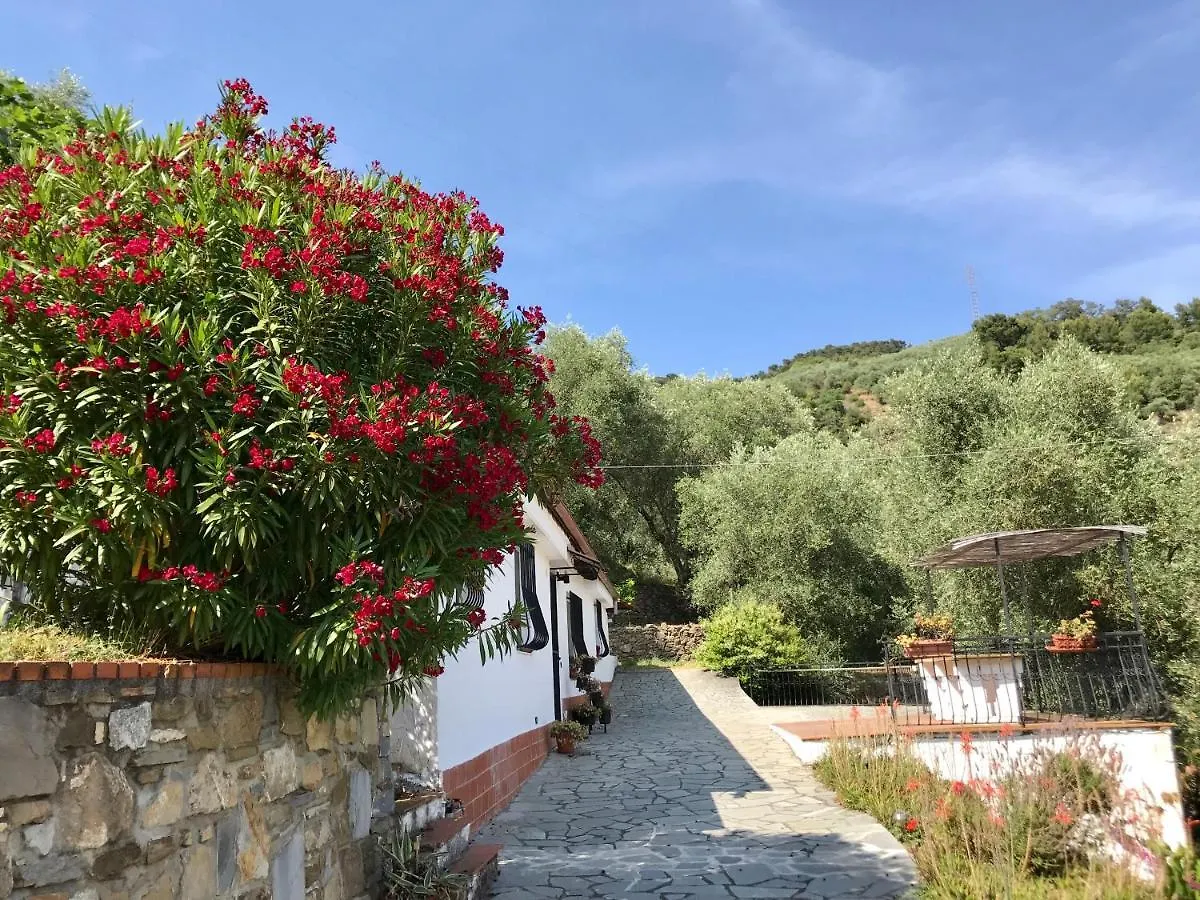 Casa Uliveto Villa Diano San Pietro Italy