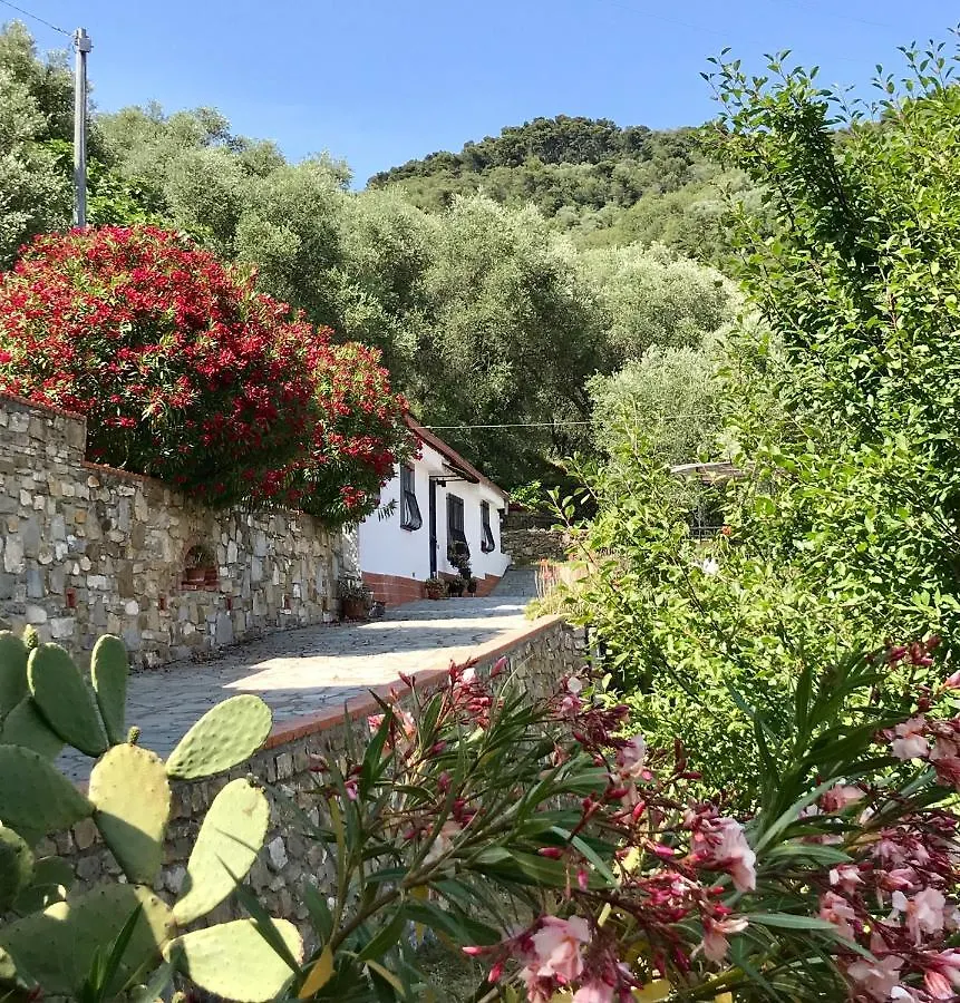 Casa Uliveto Villa Diano San Pietro 0*,